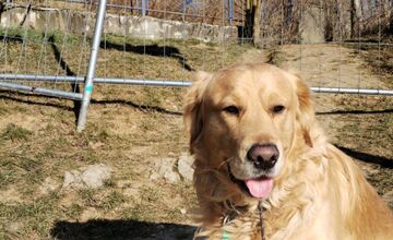 FOTO: Obyvateľom Trenčína uzatvorili priechod do lesoparku Brezina