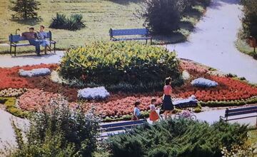 FOTO: Fontány, kvety a tieň stromov. Obyvatelia Novej Dubnice spomínajú na krásu minulosti