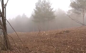 FOTO: Obyvatelia Dubnice nad Váhom zostali po výrube stromov v šoku 