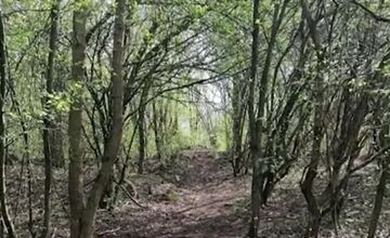 FOTO: Obyvatelia Dubnice nad Váhom zostali po výrube stromov v šoku 