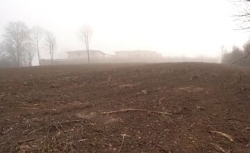 FOTO: Obyvatelia Dubnice nad Váhom zostali po výrube stromov v šoku 