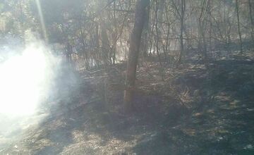 FOTO: Požiar pri Považskej Bystrici ohrozoval aj rodinné domy, hasiči zasahovali vo veľkom
