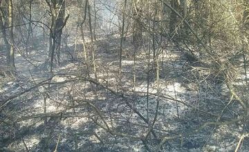 FOTO: Požiar pri Považskej Bystrici ohrozoval aj rodinné domy, hasiči zasahovali vo veľkom