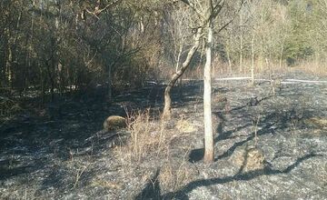 FOTO: Požiar pri Považskej Bystrici ohrozoval aj rodinné domy, hasiči zasahovali vo veľkom