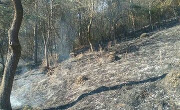 FOTO: Požiar pri Považskej Bystrici ohrozoval aj rodinné domy, hasiči zasahovali vo veľkom