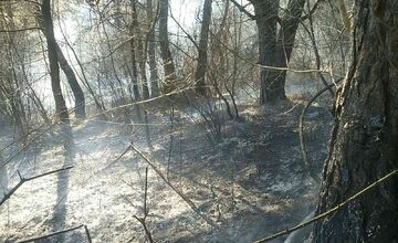 FOTO: Požiar pri Považskej Bystrici ohrozoval aj rodinné domy, hasiči zasahovali vo veľkom