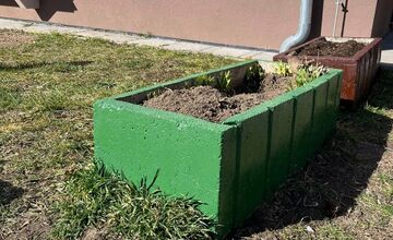 FOTO: Obyvateľka Trenčína kúpila a posadila kvety, ktoré niekto do rána ukradol 