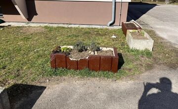 FOTO: Obyvateľka Trenčína kúpila a posadila kvety, ktoré niekto do rána ukradol 