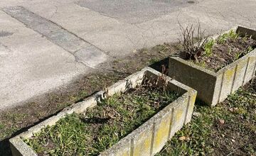 FOTO: Obyvateľka Trenčína kúpila a posadila kvety, ktoré niekto do rána ukradol 