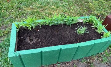 FOTO: Obyvateľka Trenčína kúpila a posadila kvety, ktoré niekto do rána ukradol 