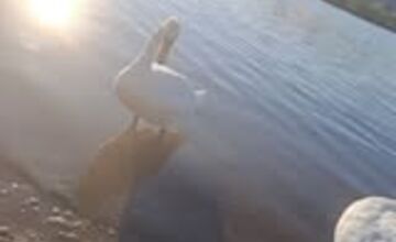 FOTO: Trenčania môžu posielať fotografie z mesta, maliarka chce namaľovať album 