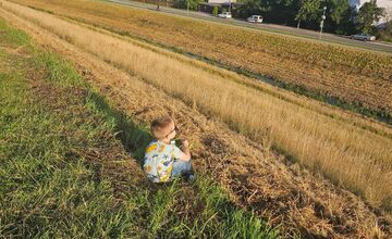 FOTO: Trenčania môžu posielať fotografie z mesta, maliarka chce namaľovať album 