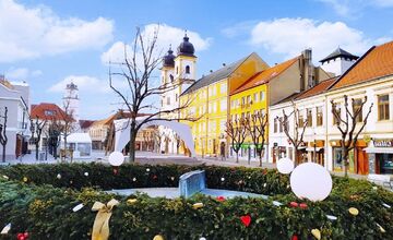 FOTO: Trenčania môžu posielať fotografie z mesta, maliarka chce namaľovať album 