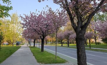 FOTO: Trenčania môžu posielať fotografie z mesta, maliarka chce namaľovať album 