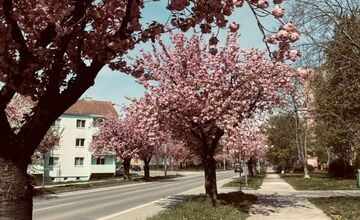 FOTO: Trenčania môžu posielať fotografie z mesta, maliarka chce namaľovať album 