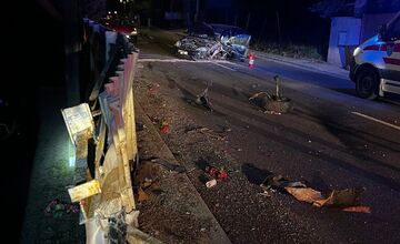 FOTO: Vodič vpálil do zvodidiel. Auto ostalo po nehode v Starej Turej kompletne zdemolované