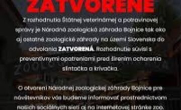 FOTO: Infekčné ochorenie ohrozuje aj vzácne druhy živočíchov v Bojnickej zoo