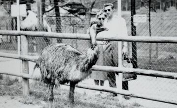 FOTO: Bojnická zoo dnes oslavuje 70 rokov, ktoré zachytávajú historické fotografie 
