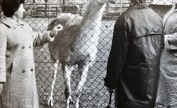 FOTO: Bojnická zoo dnes oslavuje 70 rokov, ktoré zachytávajú historické fotografie 