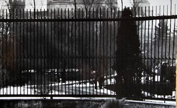 FOTO: Bojnická zoo dnes oslavuje 70 rokov, ktoré zachytávajú historické fotografie 