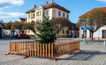 FOTO: Novomešťania sa tešia z vianočného stromčeka. Na Námestí slobody pribudla Jedľa normandská