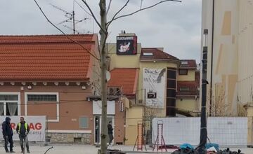 FOTO: Trenčania sa dočkali prvých stromov pred Posádkovým klubom 