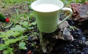 FOTO: Trenčania na prechádzke našli už kadečo. Nechýbal pohár, hodinky či vodovodná batéria