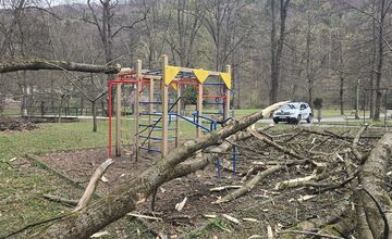 FOTO: Obyvatelia Trenčianskych Teplíc majú pre polámané stromy hlavy v smútku 