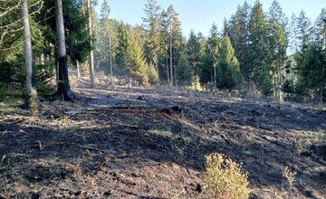FOTO: Hasiči zlikvidovali požiar lesného porastu v Domaniži pri Považskej Bystrici, pomáhali aj dobrovoľní hasiči