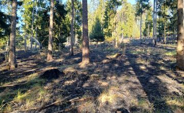 FOTO: Hasiči zlikvidovali požiar lesného porastu v Domaniži pri Považskej Bystrici, pomáhali aj dobrovoľní hasiči