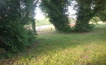 FOTO: Hasiči z Trenčianskeho kraja oslobodili srnku zakliesnenú v mostnom zábradlí v Trenčíne