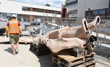 FOTO: Súsošie Štúrovcov je po roku späť v Trenčíne