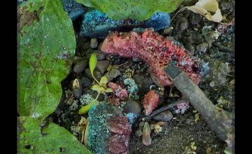 FOTO: V Trenčíne niekto len tak pohodil otravu na hlodavce do kríkov v blízkosti ihriska 