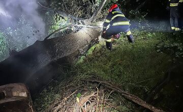 FOTO: Po údere blesku v noci horel strom aj náradie v Nedožeroch-Brezanoch, hasiči museli strom spíliť