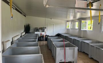 FOTO: V Partizánskom a Prievidzi našli dokopy až 853 nelegálne chovaných psov 