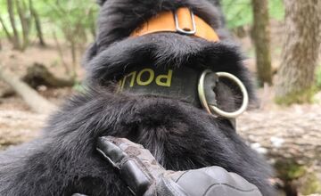 FOTO: Po Miroslavovi z Bánoviec pátrajú už dva týždne, Naposledy ho videli v Miezgovciach