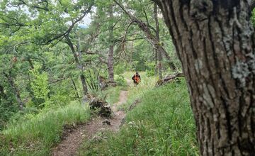 FOTO: Po Miroslavovi z Bánoviec pátrajú už dva týždne, Naposledy ho videli v Miezgovciach