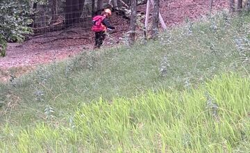 FOTO: Po Miroslavovi z Bánoviec pátrajú už dva týždne, Naposledy ho videli v Miezgovciach