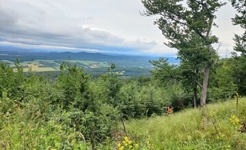 FOTO: Po Miroslavovi z Bánoviec pátrajú už dva týždne, Naposledy ho videli v Miezgovciach