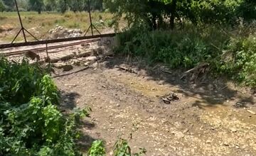 FOTO: V okrese Púchov pristúpili kvôli suchu ku výlovu rýb 