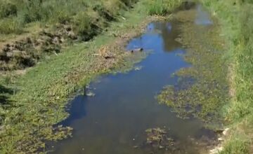FOTO: V okrese Púchov pristúpili kvôli suchu ku výlovu rýb 