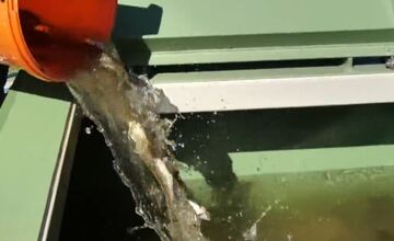 FOTO: V okrese Púchov pristúpili kvôli suchu ku výlovu rýb 