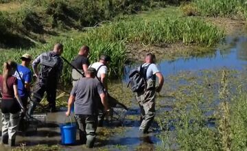 FOTO: V okrese Púchov pristúpili kvôli suchu ku výlovu rýb 