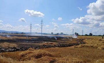 FOTO: Plamene na poli v Očkove sa šírili rýchlo, zasahovali profesionáli aj dobrovoľníci