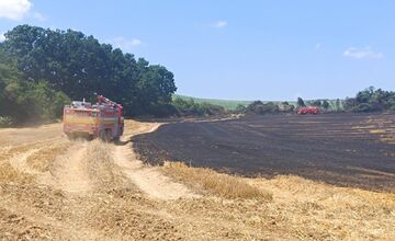 FOTO: Plamene na poli v Očkove sa šírili rýchlo, zasahovali profesionáli aj dobrovoľníci