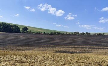 FOTO: Plamene na poli v Očkove sa šírili rýchlo, zasahovali profesionáli aj dobrovoľníci