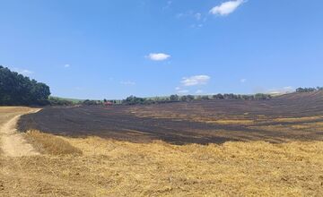 FOTO: Plamene na poli v Očkove sa šírili rýchlo, zasahovali profesionáli aj dobrovoľníci
