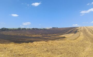 FOTO: Plamene na poli v Očkove sa šírili rýchlo, zasahovali profesionáli aj dobrovoľníci