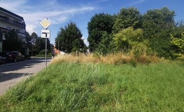 FOTO: Obyvateľov Trenčína hnevá vysoká tráva v katastri mesta