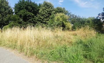 FOTO: Obyvateľov Trenčína hnevá vysoká tráva v katastri mesta